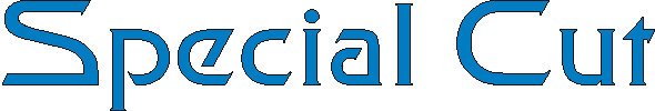specialcut.gif (2440 bytes)