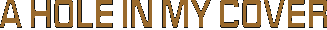 holeinmycover.gif (2645 bytes)