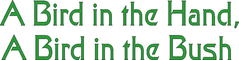 birdinthehand.gif (6927 bytes)