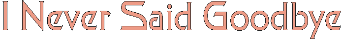 ineversaidgoodbye.gif (2972 bytes)