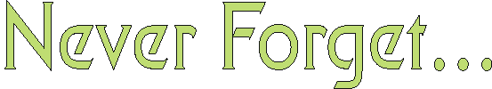 neverforget.gif (2541 bytes)