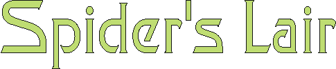 spiderslair.gif (2330 bytes)