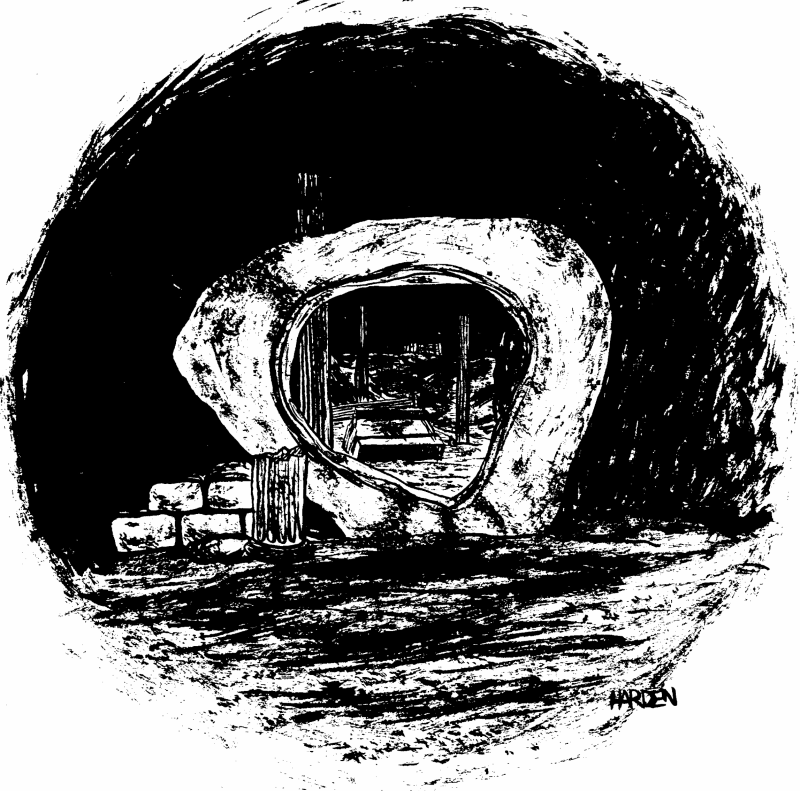 guardianofforever.GIF (206067 bytes)