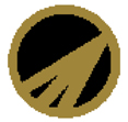 klingon_pin_lieutenant.jpg (17190 bytes)