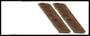 oac_epaulet_cmdr.jpg (15551 bytes)
