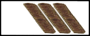 oac_epaulet_fleet_capt.jpg (16652 bytes)