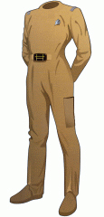oacgoldsclassCjumpsuit.jpg (26076 bytes)